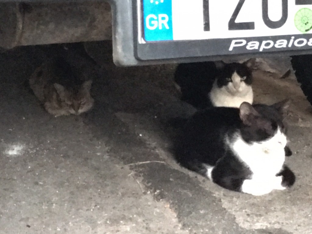 1213-h29-1-15%e6%9d%b1%e4%ba%ac%e5%80%8b%e5%88%a5%e7%9b%b8%e8%ab%87%e3%80%80%e5%8b%95%e7%94%bb%ef%bc%88%e5%bb%83%e5%a2%9f%e4%b8%8d%e5%8b%95%e7%94%a3%e6%8a%95%e8%b3%87-%e7%ac%ac36%e5%9b%9e%ef%bc%8f100